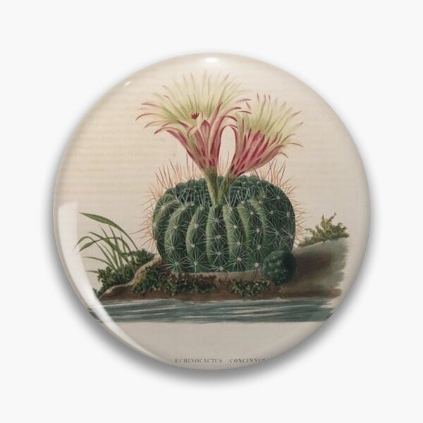 Item preview, Vintage Cactus Illustration with Yellow and Pink Flowers designed and sold by xostarboyxo.