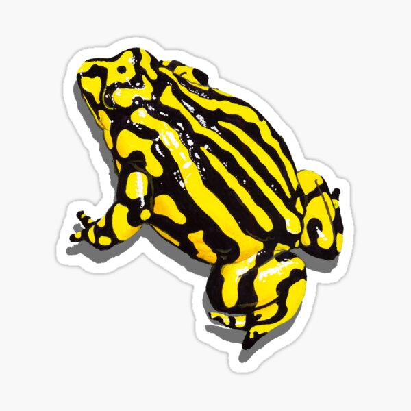 Baby Frog Sticker – Roselight Enchantments