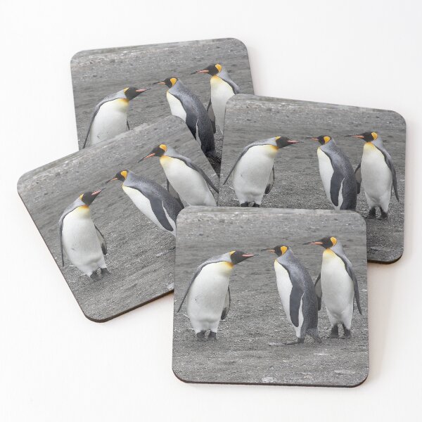 Artikelvorschau, Königspinguine ~ "Ein Gentlemen's Duel" entworfen und verkauft von Robert Elliott.