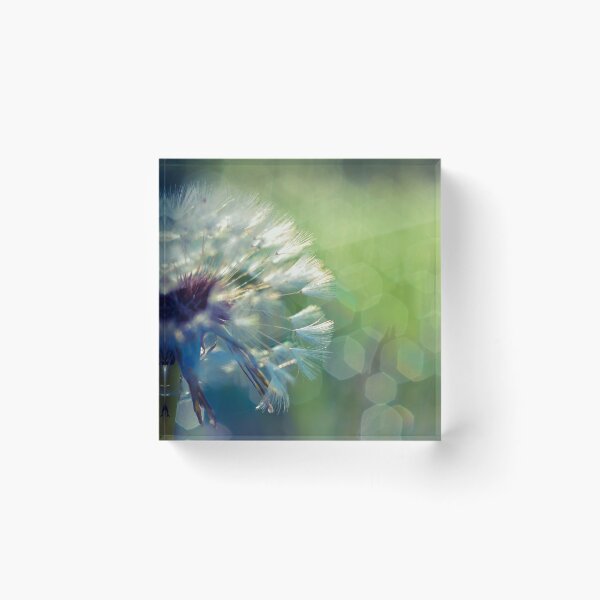 Item preview, Freedom designed and sold by inlightimagery.