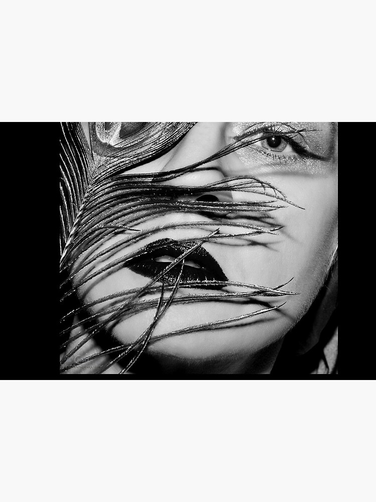 Peacock feather and eye by bcash