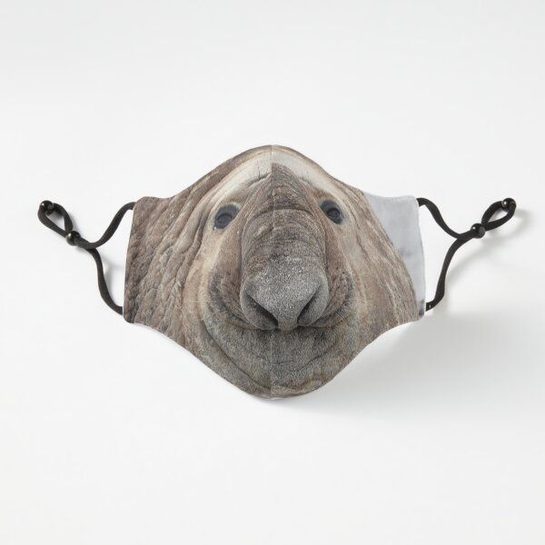 The Beach Master ~ Southern Bull Elephant Seal Fitted 3-Layer