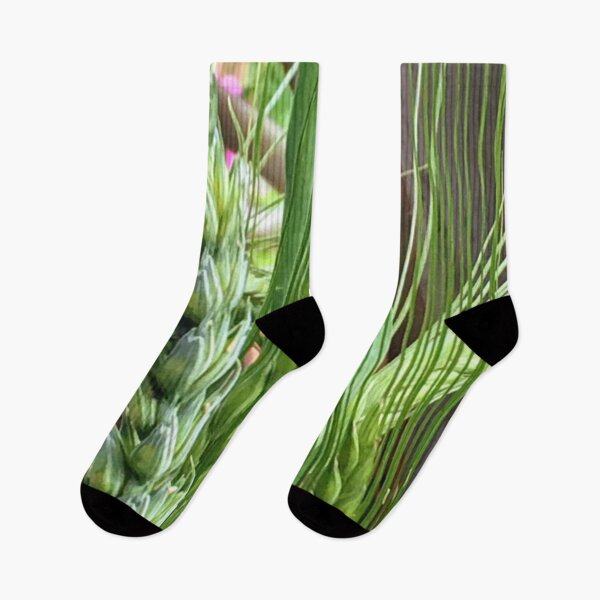 Item preview, Close up of green wheat, growing amongst plants  designed and sold by Lorraine Lashley  - My Joy..