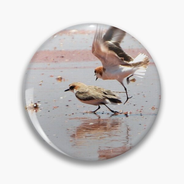 Item preview, Red-capped Plovers ~ "Love is in the air"   designed and sold by Robert Elliott.