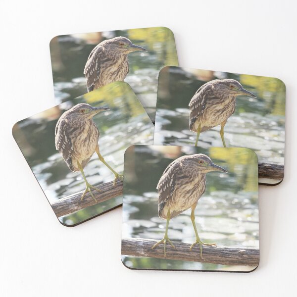 Item preview,  Black-crowned Night-Heron Juvenile designed and sold by SweepingShadows.