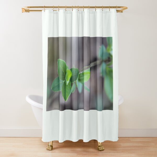 Fresh Life Shower Curtain