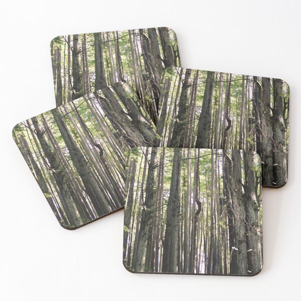 Item preview, Dense Forest designed and sold by KsbAesthetics.