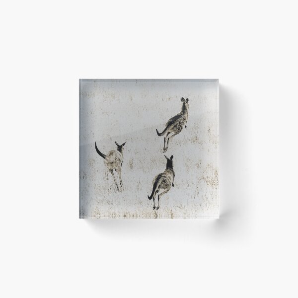 Inspire Acrylic Block