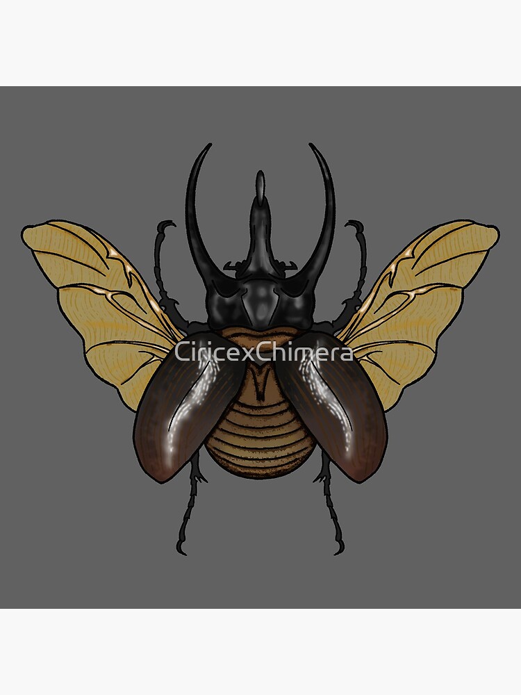 CalvariArt - Stag beetle tattoo done by Leczfalvi Robert #tattoos  #tattoostudio #stagbeetle #blackandwhitetattoo #clujnapoca | Facebook