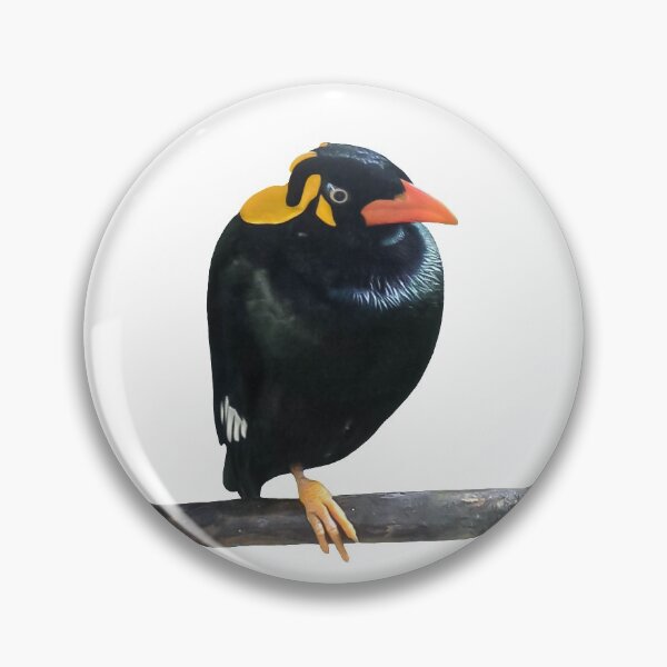 Item preview, a black bird with an orange beak and yellow ears designed and sold by nataliavavilina.