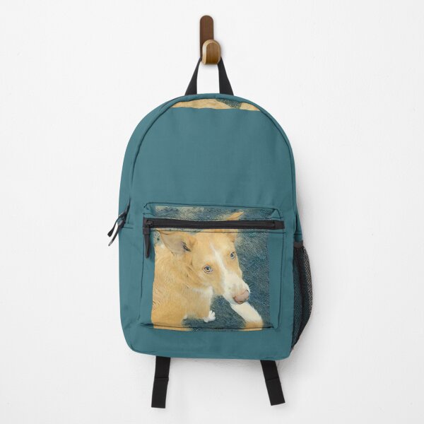 Item preview, Rough-coated Podenco designed and sold by P TA.
