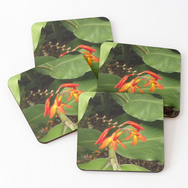 Item preview, Orange flowers designed and sold by greentiger1.
