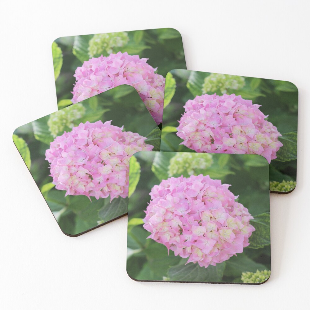 Item preview, Coasters (Set of 4) designed and sold by SweepingShadows.