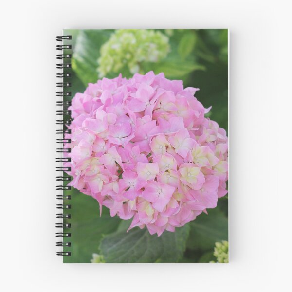 Item preview, Hortensia rosa designed and sold by SweepingShadows.