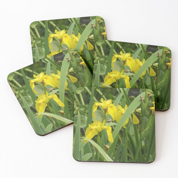 Item preview, Yellow irises designed and sold by greentiger1.