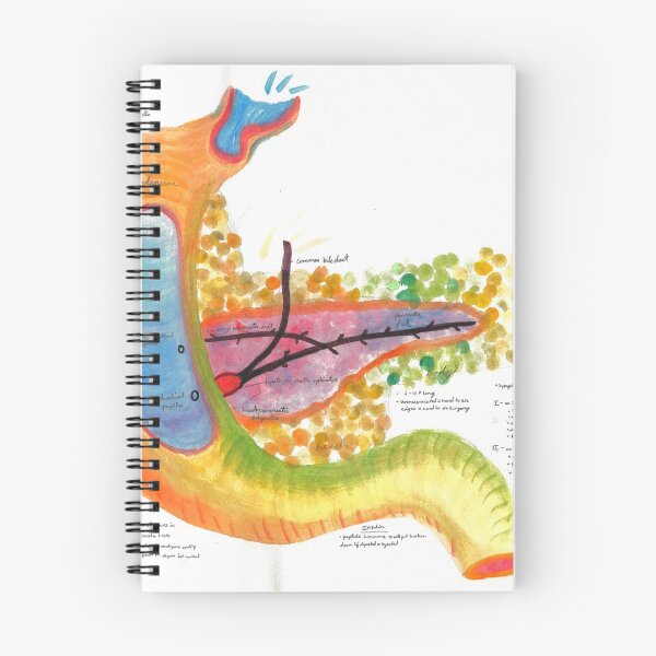 Item preview, Watercolor A&P of the Pancreas designed and sold by dr-duncan.