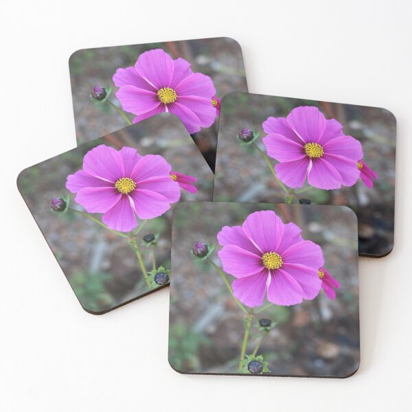 Artikelvorschau, Pink Kosmos Blume entworfen und verkauft von SweepingShadows.