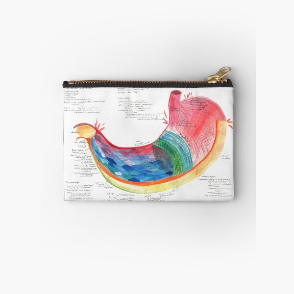 Item preview, Watercolor A&P of the Stomach designed and sold by dr-duncan.