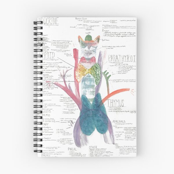 Item preview, Watercolor A&P of Thyroid and Endocrine System designed and sold by dr-duncan.