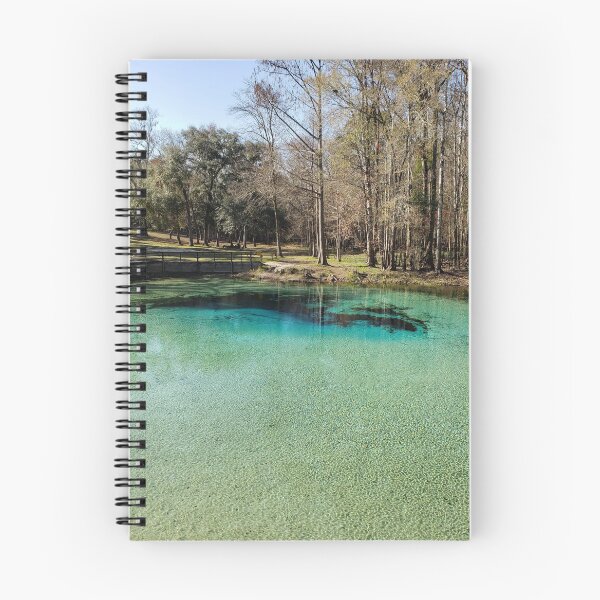 Item preview, Picturesque Gilchrist Blue Springs State Park designed and sold by niasadventures.