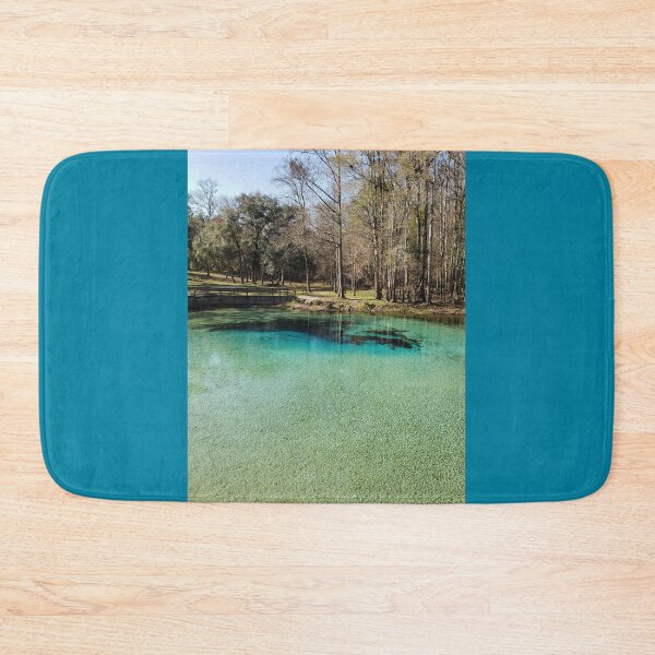 Item preview, Picturesque Gilchrist Blue Springs State Park designed and sold by niasadventures.