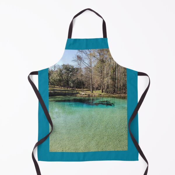 Item preview, Picturesque Gilchrist Blue Springs State Park designed and sold by niasadventures.
