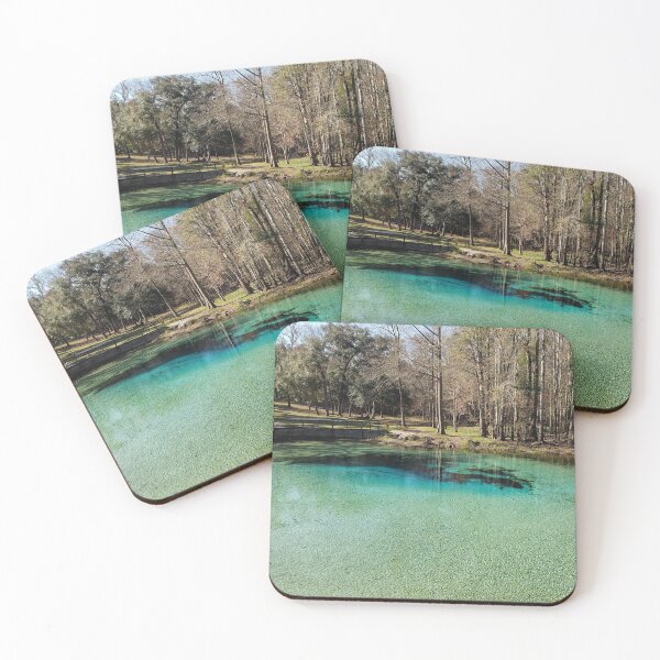 Item preview, Picturesque Gilchrist Blue Springs State Park designed and sold by niasadventures.