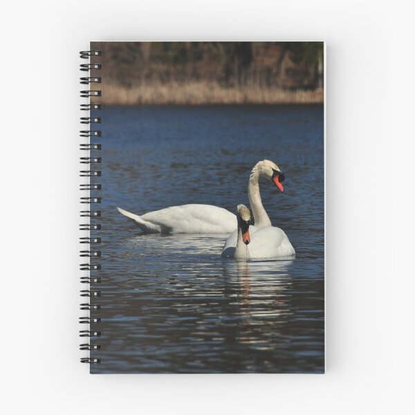 Item preview, Spring time is mating time... Mute Swans designed and sold by Poete100.