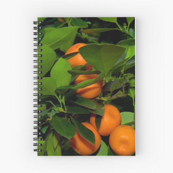 Item preview, Oranges designed and sold by Joy  Rector.