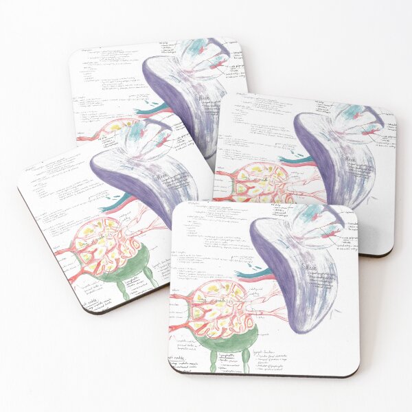 Item preview, Watercolor A&P of the Immune System designed and sold by dr-duncan.