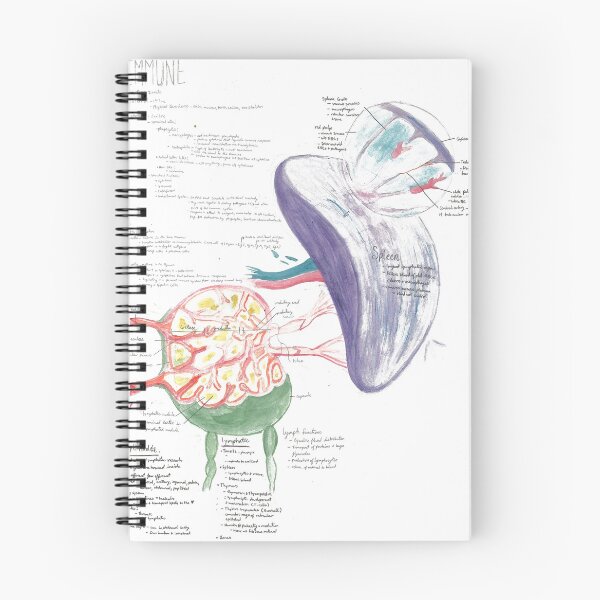 Item preview, Watercolor A&P of the Immune System designed and sold by dr-duncan.