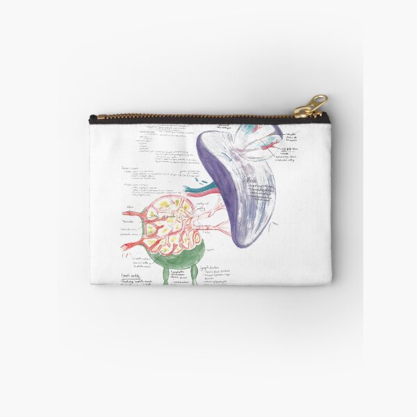 Item preview, Watercolor A&P of the Immune System designed and sold by dr-duncan.