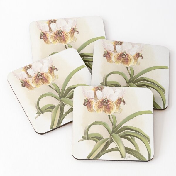 Item preview, Reichenbachia: Orchids Illustrated and Described designed and sold by EsotericBotanic.