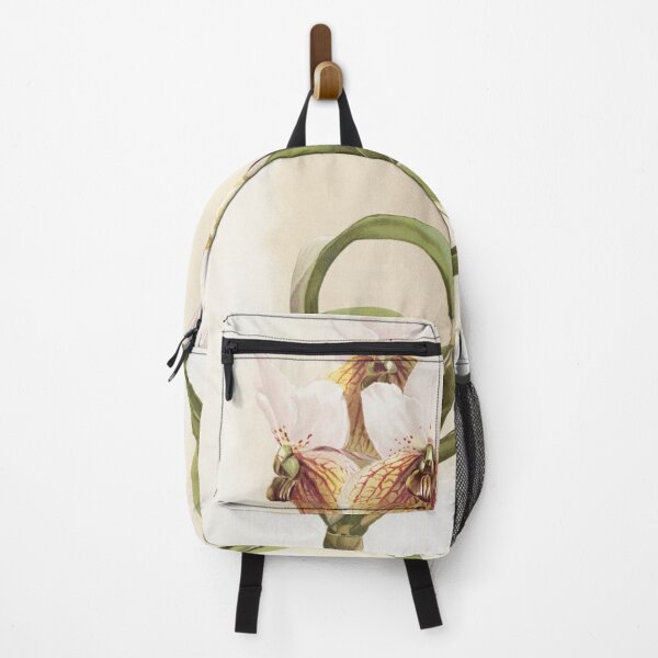 Item preview, Reichenbachia: Orchids Illustrated and Described designed and sold by EsotericBotanic.