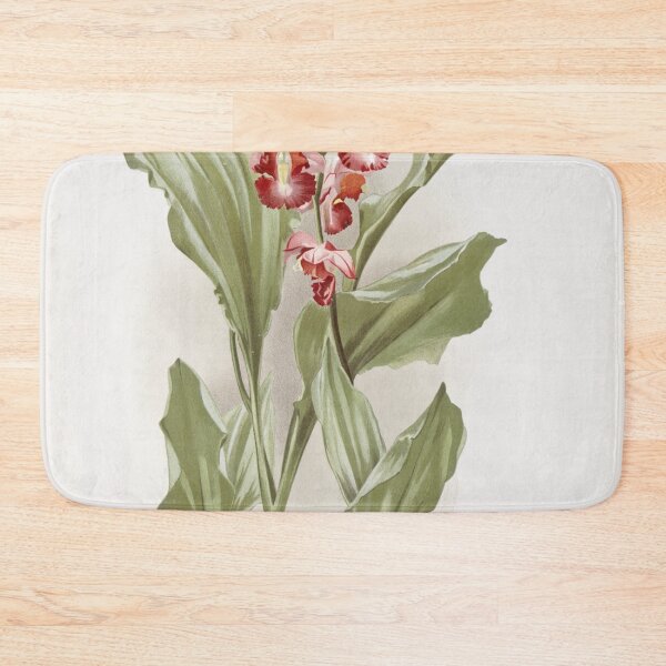 Item preview, Reichenbachia: Orchids Illustrated and Described designed and sold by EsotericBotanic.