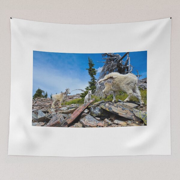 Item preview, Mountain goat family Idaho designed and sold by GQViews.
