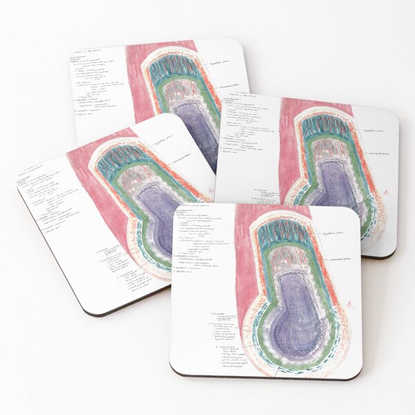 Item preview, Watercolor A&P of the GI tract  designed and sold by dr-duncan.