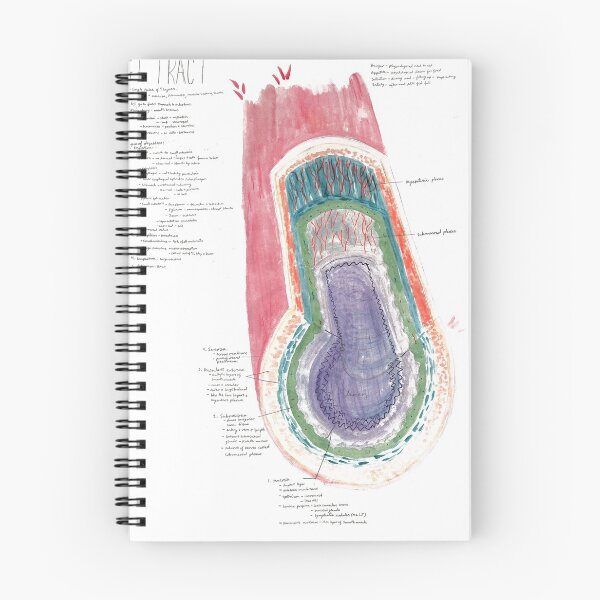 Item preview, Watercolor A&P of the GI tract  designed and sold by dr-duncan.