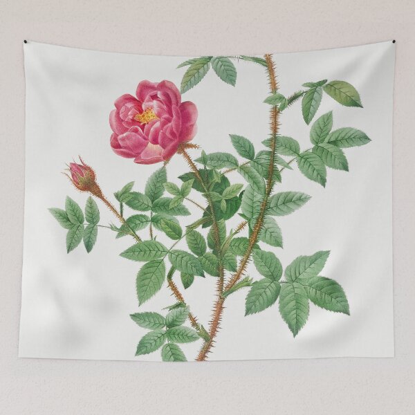 Item preview, Les Roses by Pierre-Joseph Redouté designed and sold by EsotericBotanic.