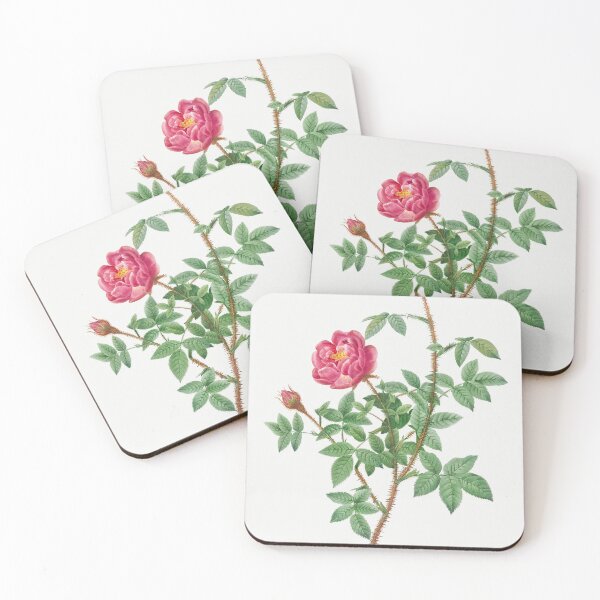 Item preview, Les Roses by Pierre-Joseph Redouté designed and sold by EsotericBotanic.