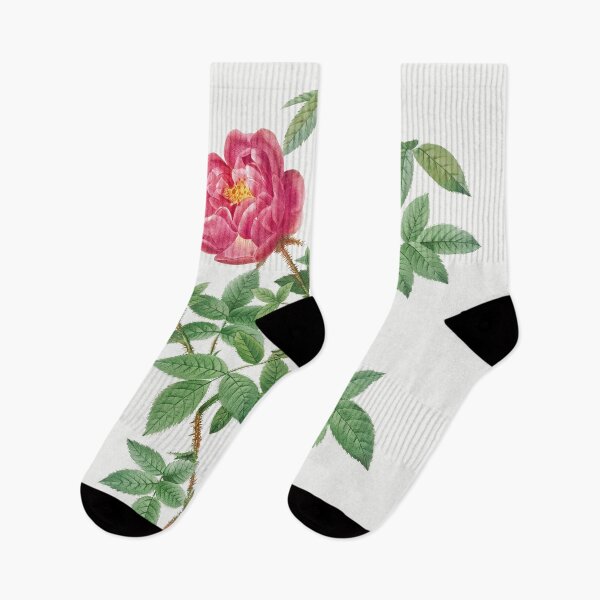 Item preview, Les Roses by Pierre-Joseph Redouté designed and sold by EsotericBotanic.