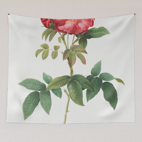 Item preview, Les Roses by Pierre-Joseph Redouté designed and sold by EsotericBotanic.