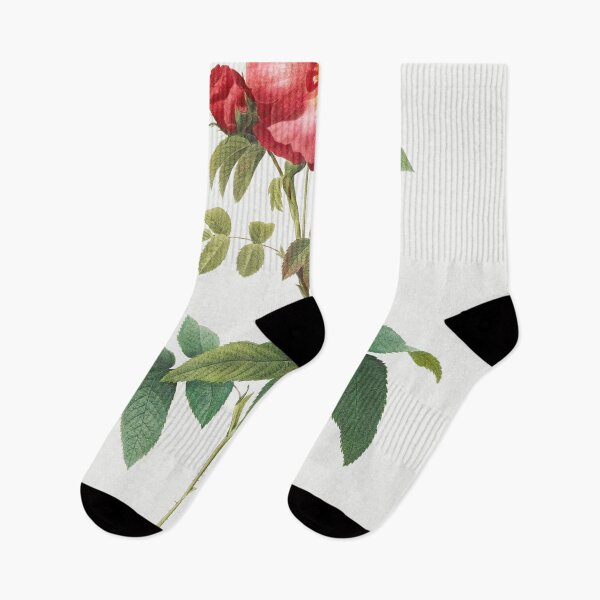Item preview, Les Roses by Pierre-Joseph Redouté designed and sold by EsotericBotanic.