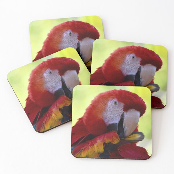 Item preview, Pretty Preening Parrot designed and sold by richardbryce.