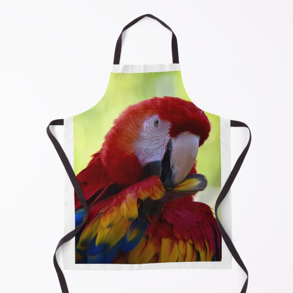 Item preview, Pretty Preening Parrot designed and sold by richardbryce.
