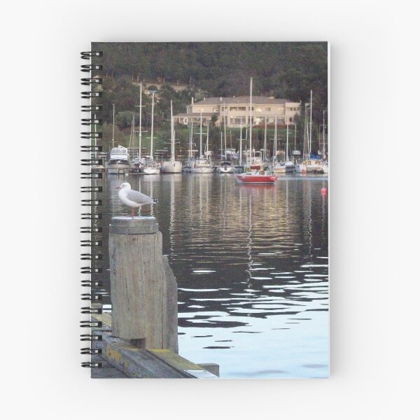 Item preview, Lone Seagull at Oyster Cove Marina, Kettering designed and sold by Eleanor Wylie.