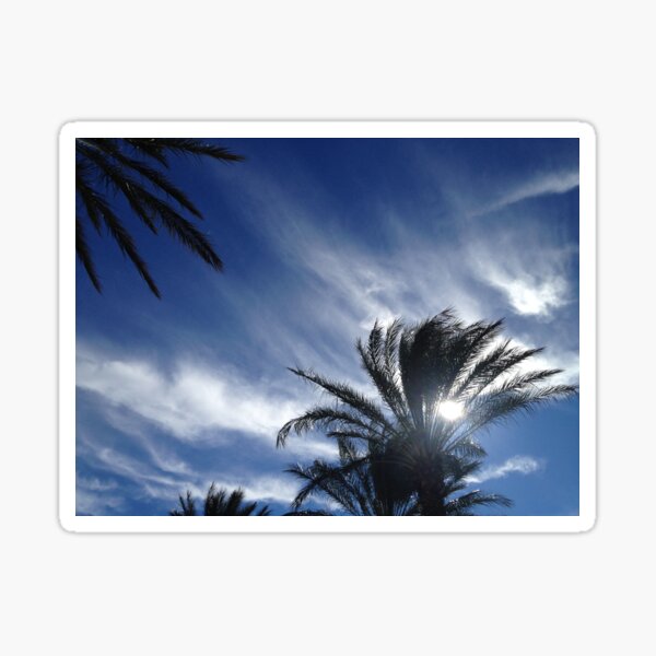 Palm Springs Winter Sky Sticker
