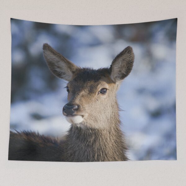 Item preview, Young Red Deer Face designed and sold by rawshutterbug.