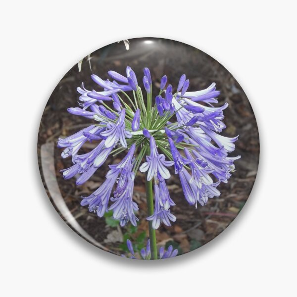 Item preview, Agapanthus designed and sold by greentiger1.