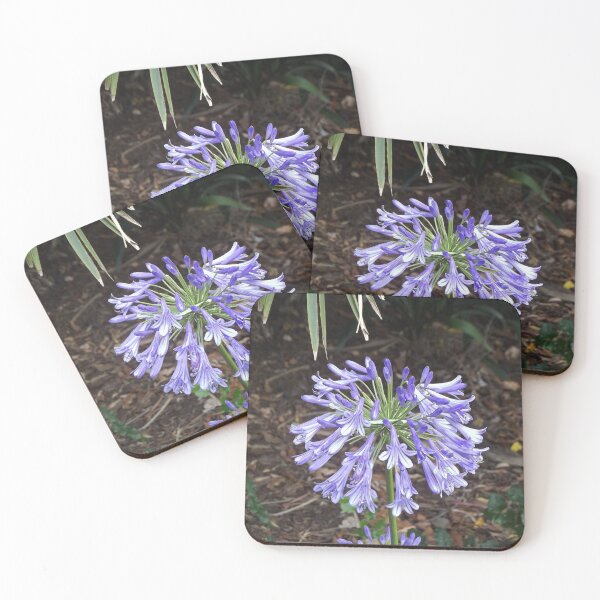 Item preview, Agapanthus designed and sold by greentiger1.
